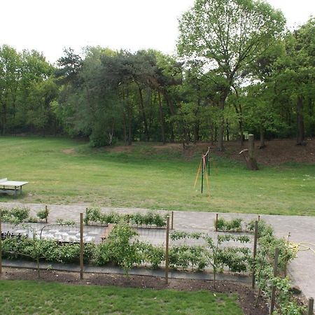 Vakantieboerderij 'T Zand - Appartement Heeswijk-Dinther Екстер'єр фото